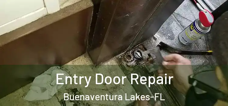 Entry Door Repair Buenaventura Lakes-FL