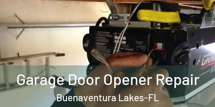 Garage Door Opener Repair Buenaventura Lakes-FL