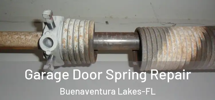 Garage Door Spring Repair Buenaventura Lakes-FL